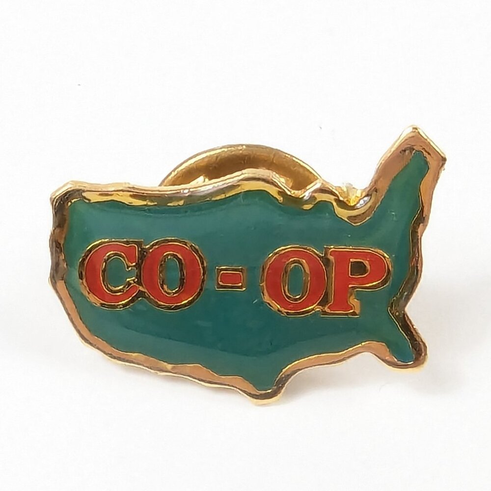 Vintage Co-op United States Shaped Lapel Pin